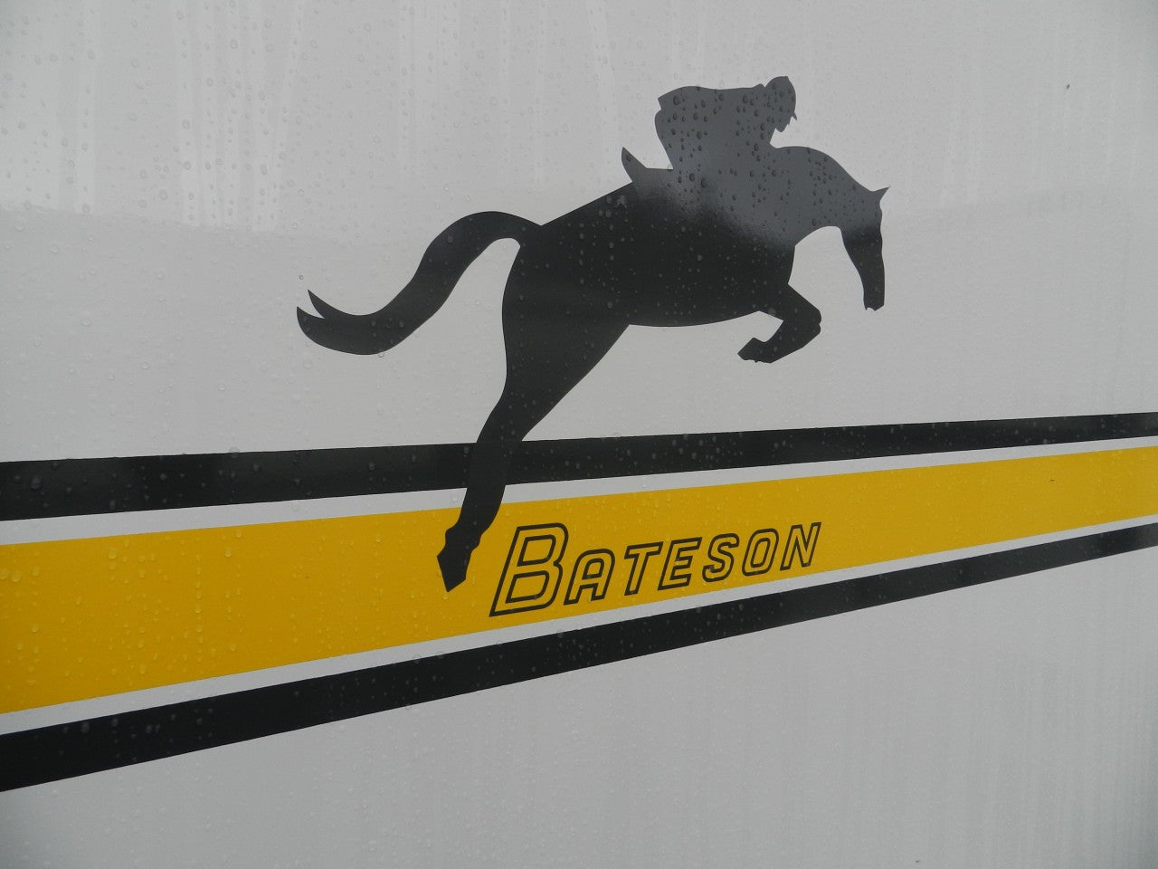 Bateson Ascot Premium Double Horse Trailer