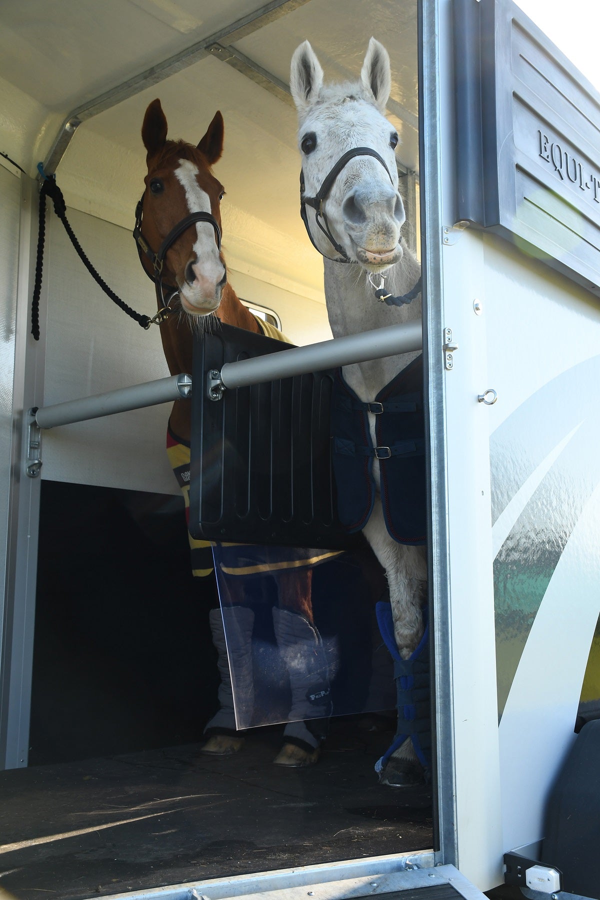 Equi-Trek Apollo Horse Trailer